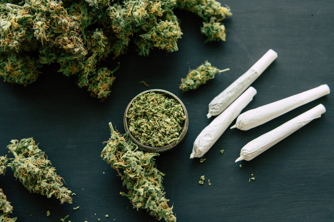 THCA Brand 2: Paid Media With Punch