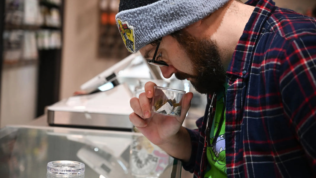 THCA Brand 1: From Traffic to Takeoff